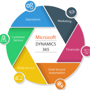 Dynamics 365 Business Central Premium –				 Annually